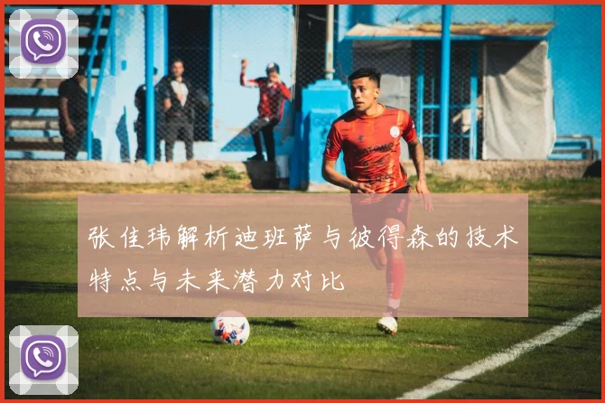 张佳玮解析迪班萨与彼得森的技术特点与未来潜力对比