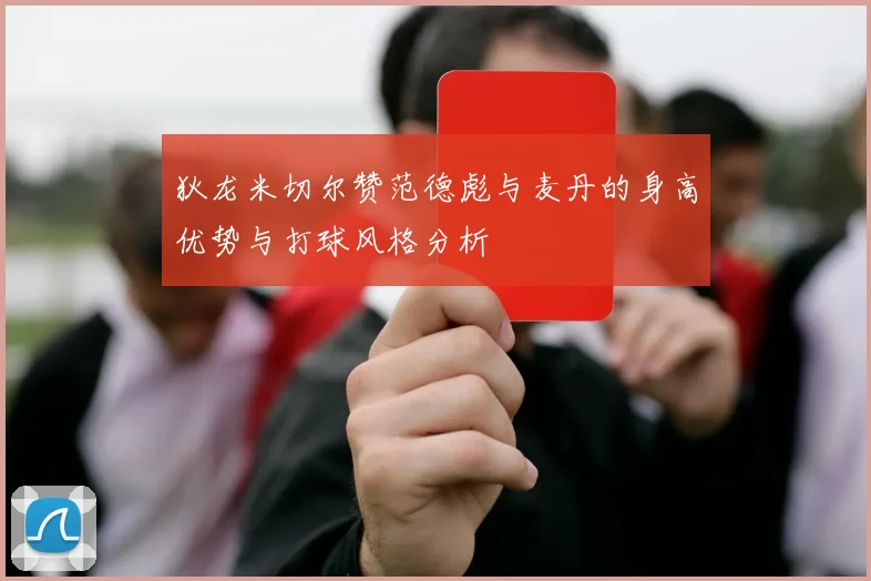 狄龙米切尔赞范德彪与麦丹的身高优势与打球风格分析
